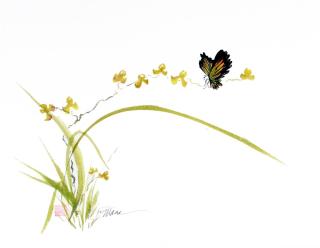 Diana Marra - The Orchid and the Butterfly