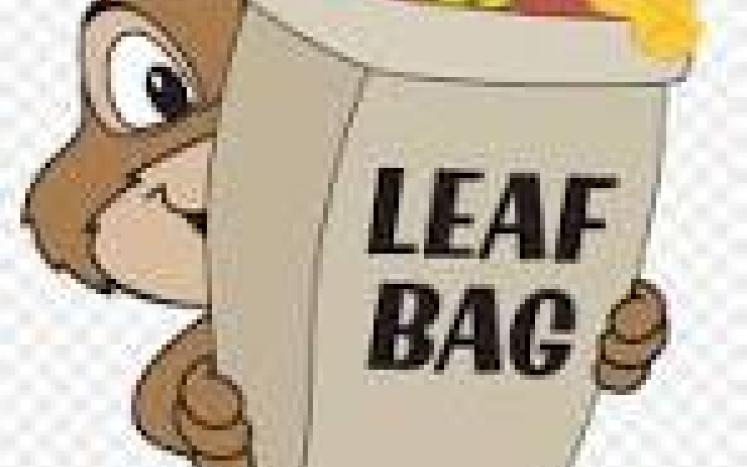 Leaf Bags